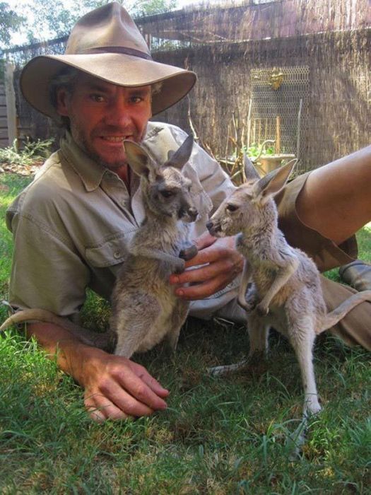 Rescuing kangaroos, Kangaroo Dundee, Chris Brolga Barns