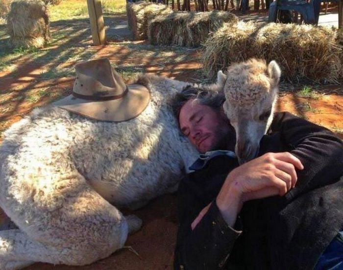 Rescuing kangaroos, Kangaroo Dundee, Chris Brolga Barns