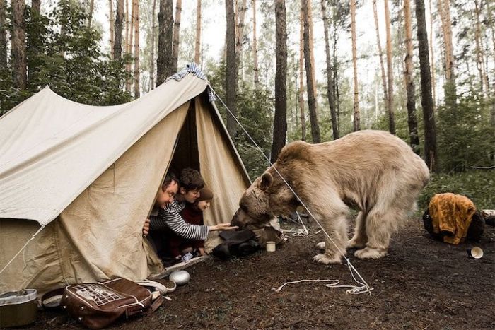 pet bear with a family