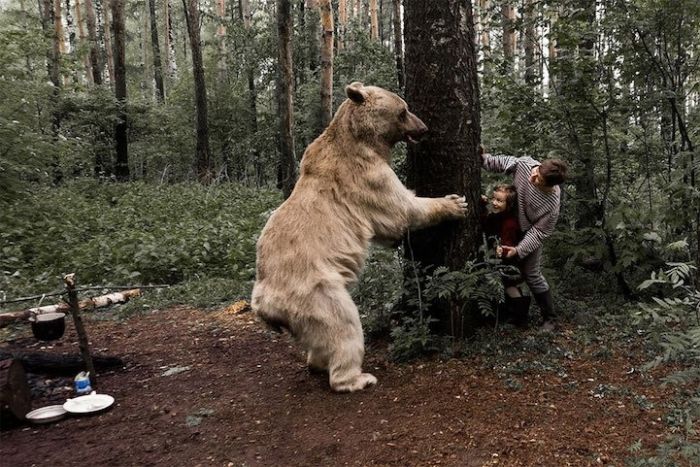 pet bear with a family