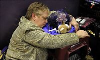 Fauna & Flora: Westminster Kennel Club Dog Show