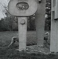 Fauna & Flora: William Wegman photos of dogs