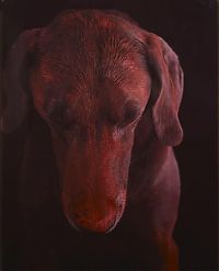 TopRq.com search results: William Wegman photos of dogs