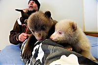 Fauna & Flora: Salt and Pepper cubs