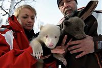 Fauna & Flora: Salt and Pepper cubs