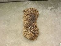 TopRq.com search results: Mysterious mop