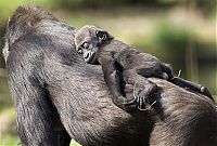 Fauna & Flora: Beautiful photos of the animals in the ZOO