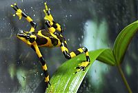 Fauna & Flora: Beautiful photos of the animals in the ZOO