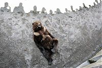 Fauna & Flora: Beautiful photos of the animals in the ZOO