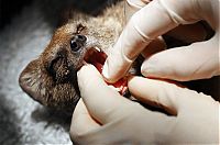 Fauna & Flora: Beautiful photos of the animals in the ZOO