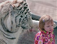 child with a tiger