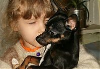 Fauna & Flora: cute puppy dog