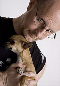 Fauna & Flora: cute puppy dog