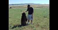 TopRq.com search results: Biologist Casey Anderson, and his bear Butusov