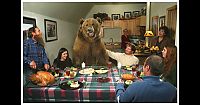 Fauna & Flora: Biologist Casey Anderson, and his bear Butusov