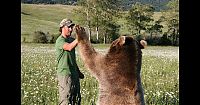 TopRq.com search results: Biologist Casey Anderson, and his bear Butusov