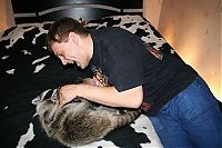 Fauna & Flora: Home raccoon