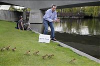 TopRq.com search results: Ducks saved, Spokane, Washington, United States