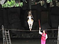 TopRq.com search results: goat on a rope