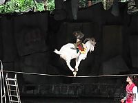 Fauna & Flora: goat on a rope