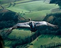 Fauna & Flora: animal photography