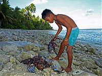 Fauna & Flora: coconut crab