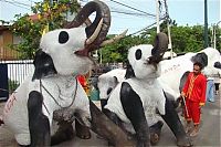 TopRq.com search results: Panda elephants in Thailand