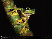 Fauna & Flora: Animal and wildlife photography by National Geographic