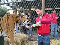 TopRq.com search results: In ZOO with predators, Argentina