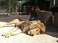 Fauna & Flora: In ZOO with predators, Argentina