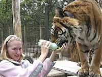 Fauna & Flora: In ZOO with predators, Argentina