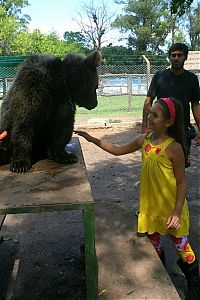 Fauna & Flora: In ZOO with predators, Argentina