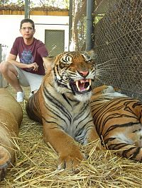 Fauna & Flora: In ZOO with predators, Argentina