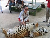 Fauna & Flora: In ZOO with predators, Argentina