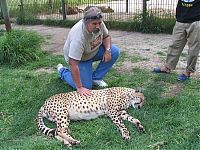 Fauna & Flora: In ZOO with predators, Argentina