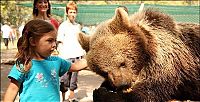 Fauna & Flora: In ZOO with predators, Argentina