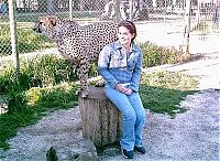 Fauna & Flora: In ZOO with predators, Argentina