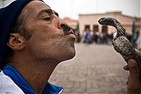 Fauna & Flora: Snake magician, Morocco, Marrakech