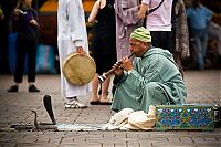 Fauna & Flora: Snake magician, Morocco, Marrakech