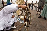 Fauna & Flora: Snake magician, Morocco, Marrakech