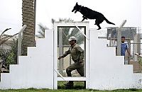 Fauna & Flora: Policeman trains a sniffer dog, Iraq