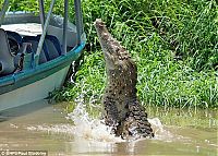 Fauna & Flora: take a better pic of crocodile