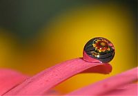 Fauna & Flora: animal macro photography