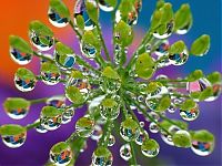 Fauna & Flora: animal macro photography
