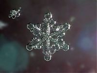 Fauna & Flora: animal macro photography