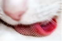 Fauna & Flora: animal macro photography
