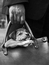 Fauna & Flora: Funny animals