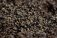 Fauna & Flora: Black caviar