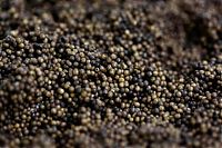 TopRq.com search results: Black caviar