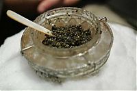 TopRq.com search results: Black caviar